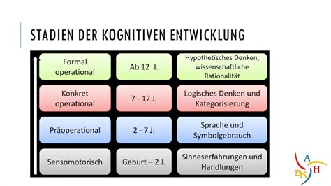 jean piaget kognitive entwicklung